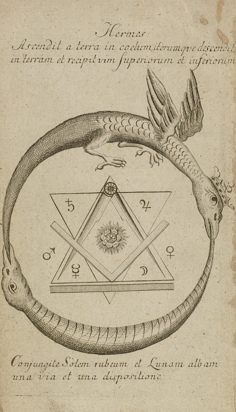© Foto: Badische Landesbibliothek Karlsruhe Die Abbildungsseite aus dem Buch "Des Hermes Trismegists wahrer alter Naturweg", das im Jahr 1782 in Leipzih erschien, zeiht ein Hexagramm mit den Freimaurersymbolen in einem Ring aus zwei Drachenfiguren, die einander in den Schwanz beißen.